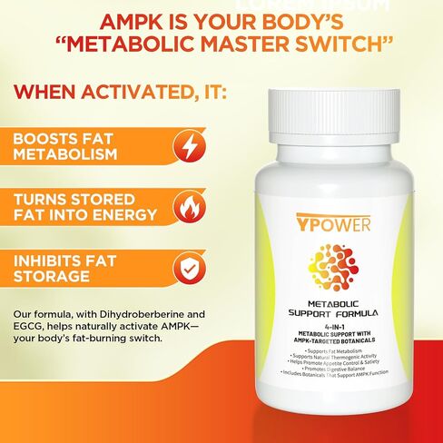 Natural Thermogenic Fat Burner – 4 in 1 Metabolic Support for Stubborn Fat, Metabolism Boost & Weight Control, 24/7 Weight Loss, 60 Capsules in Saudi Arabia