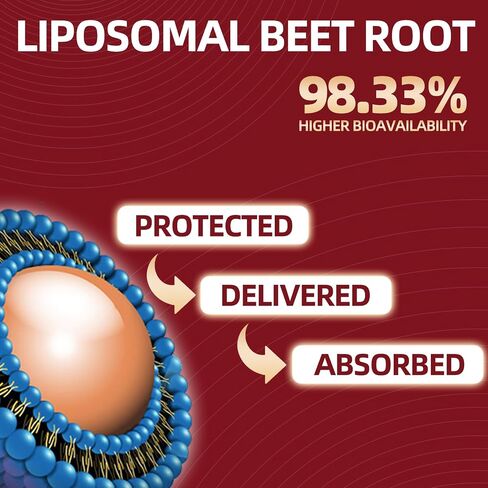 Beet Root Capules - Beet Root Powder with Hawthorn Berry, CoQ10, Garlic Bulb, Black Pepper for Heart & Circulation Support, Beetroot Supplement for Women and Men, 120 Capsules, 60-Day Supply in Saudi Arabia