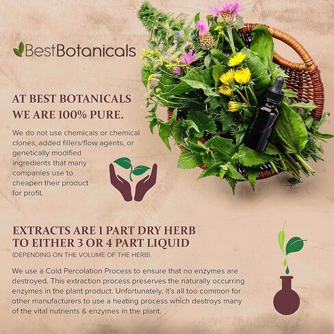 Best Botanicals Gotu Kola Herb Cut 16 oz. (Organic) in Kuwait