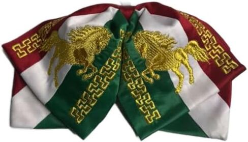 ربطة عنق مكسيكية من Charro شريط مطاطي ذهبي وربطة عنق مزينة بتفاصيل ذهبية وذهبية من Charro mono de gala in Kuwait