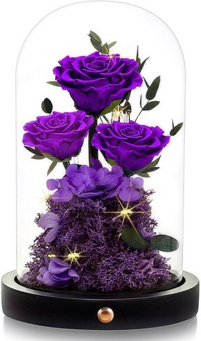 Agrul Birthday Gifts for Women Forever Preserved Flowers Roses in Glass Dome for Women Mom Wife Girlfriend Daughter Birthday Gifts/Purple Rose in Kuwait