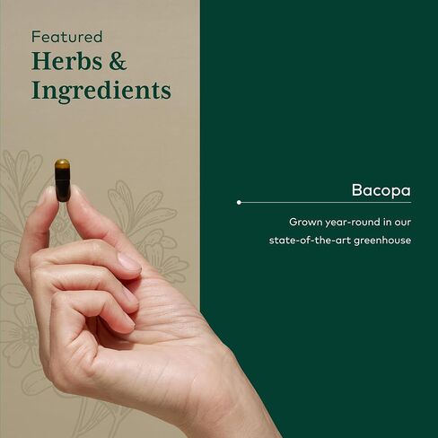 GAIA HERBS PRO Bacopa - Brain Health & Nootropic Support - 60 Liquid Phyto-Caps (30 Servings) in Saudi Arabia