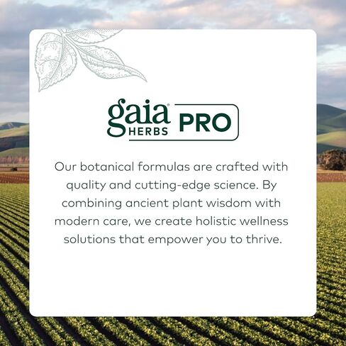 GAIA HERBS PRO Bacopa - Brain Health & Nootropic Support - 60 Liquid Phyto-Caps (30 Servings) in Saudi Arabia