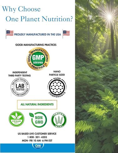 One Planet Nutrition Nano Gotu Kola 250 mg Veggie Capsules (120 Servings) - Nano-Particle Size Gotu Kola Extract - Enhances Brain Function & Collagen Synthesis - Non-GMO, Vegan, Gluten-Free in Saudi Arabia