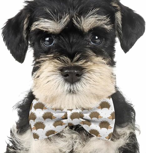 Pre-Tied Bow-Tie (Cute Hedgehog Pattern) Adjustable Bowties for Kids, Toddlers, Adults, Dogs, Cats, Pets in Saudi Arabia