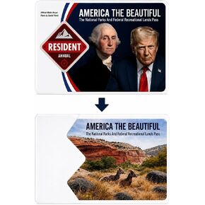 National Park Pass Holder Sleeve – Clear Protective Cover for America the Beautiful Pass – Durable Vinyl Protector for National Parks Annual Pass – Travel & Gift for Park Lovers in Kuwait