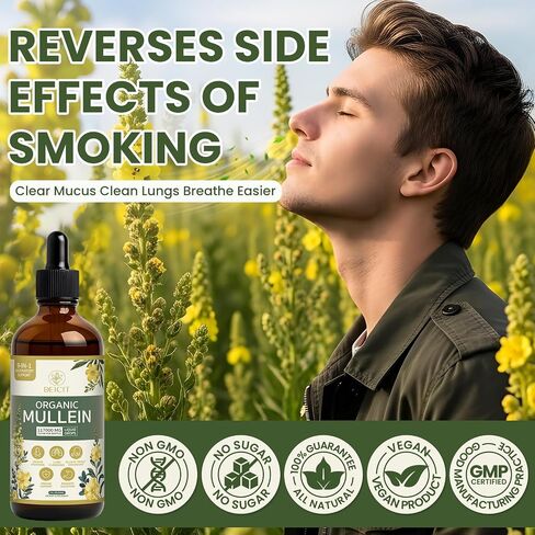 Organic Mullein Drops 2 Pack for Lungs Cleanse & Detox - Mullein Leaf Extract Liquid Tincture 9-IN-1 Select Herbal Mixture - Break up Mucus, Respiratory, Immunity, Digestion Health 6 fl oz (180 ml) in Kuwait