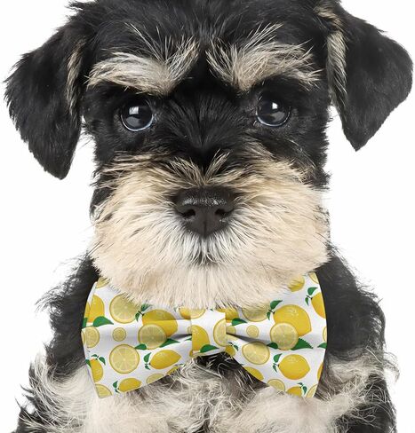 Pre-Tied Bow-Tie (Lemon 2 Pattern) Adjustable Bowties for Kids, Toddlers, Adults, Dogs, Cats, Pets in Saudi Arabia