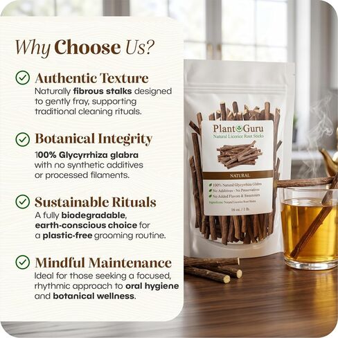 Licorice Root Chew Sticks (Mulethi) 8 oz. - Glycyrrhiza Glabra - Yashimadhu Dried Whole Natural Root from Turkey - Premium Herbal Botanical in Saudi Arabia