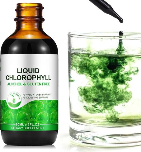 Chlorophyll Liquid Drops 60ml, 100% Natural Organic Liquid Chlorophyll Drops for Body Odor Balance,Fresh Breath, Digestion, Gut Health, Energy, Body Freshness, Peppermint Flavored Fast Absorption in Saudi Arabia