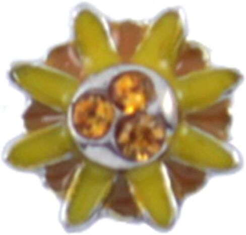 BG247 Floating Locket in Saudi Arabia