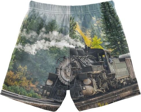 Aflyko Boys' Board Shorts Steam Train Mountain Swim Trunk Beach Swimwear L in Saudi Arabia