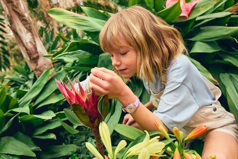 Flik Flak Girls Kids Watch Casual Pink Bio-sourced Quartz Waterproof Toucans Treasures in Kuwait
