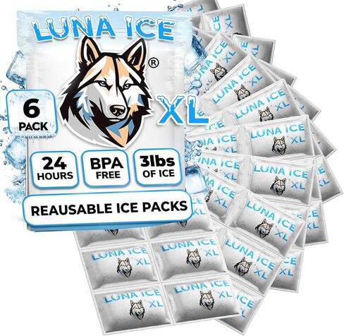 Dry Ice Packs for Shipping - Long Lasting ice Packs - 24+ Hour Freeze Power - BPA Free - 12 Pack Bulk 3 lb – Hielo Seco - Reusable Gel Bricks for Food in Kuwait