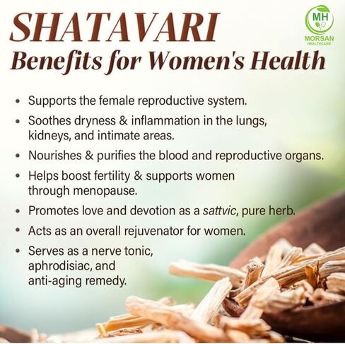 Shatavari Capsules 500 mg | Asparagus Racemosus Extract | 60 Vegan Capsules |Pack of 4 | Natural Ayurvedic Herbal Supplement for Women | Plant-Based Formula for Daily Wellness in Saudi Arabia
