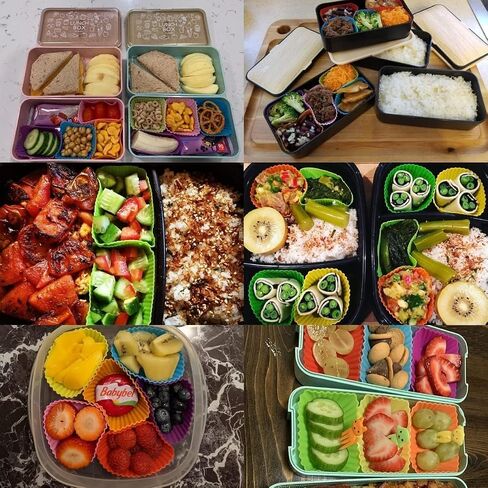 Silicone Lunch Box Dividers for kids,24 pcs Bento Box Dividers with 10 Animal Food Picks,Silicone Bento Box Inserts,Cupcake Baking Cups,Muffin Pan Liners,Reusable and BPA Free in Saudi Arabia