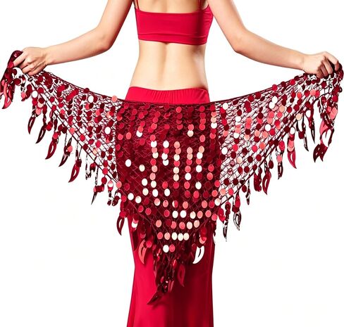Wuchieal Belly Dance Skirt Hip Scarf Dance Hip Belt Latin Dance Hula Hip Scarf in Kuwait