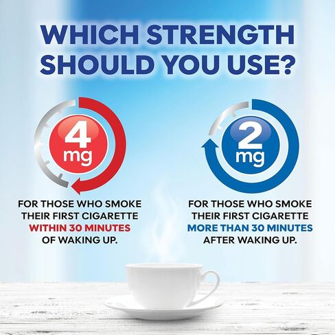 GoodSense Uncoated Nicotine Polacrilex Gum, 4 mg (Nicotine), Stop Smoking Aid, Original Flavor, 310 Count in Kuwait
