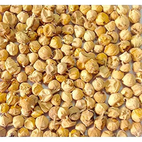 Prime Paneer Dodi | Indian Rennet | Paneer Doda | Withania Coagulans, Diabetic Herb (200) in Saudi Arabia