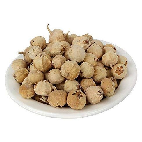 Prime Paneer Dodi | Indian Rennet | Paneer Doda | Withania Coagulans, Diabetic Herb (200) in Saudi Arabia