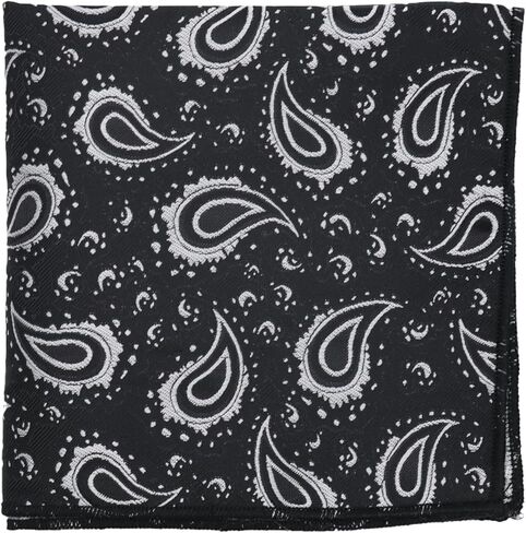 Paisley Pocket Squares for Men, Satin Suit Handkerchiefs with Holder for Wedding Business Prom Accessories in Kuwait