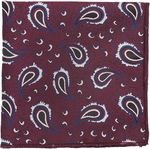 Paisley Pocket Squares for Men, Satin Suit Handkerchiefs with Holder for Wedding Business Prom Accessories in Kuwait