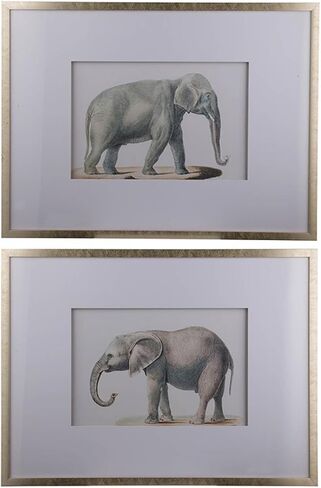 23.6x31.5 Elephant Pencil Drawings, Set of 2 in Kuwait