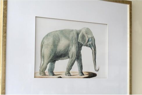 رسومات قلم رصاص لفيل مزيف مقاس 23.6X31.5 من Geelife، قطعتين - زجاج متعدد الألوان - زيّن مساحتك بفيلة مهيبة - ديكور للعطلات in Kuwait
