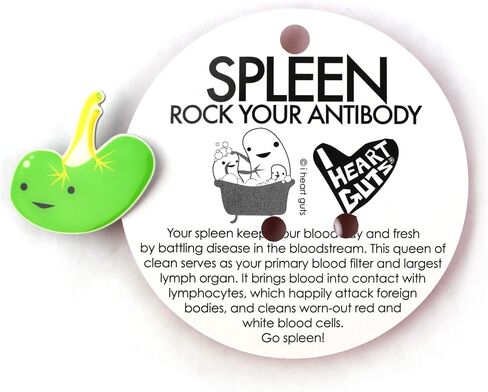 I Heart Guts Spleen Lapel Pin | Lymphin’ the Dream, Spleen Removal Funny Pins, Mono, Immunology Resident Gift, Immunologist, Med School Graduation, White Coat Ceremony, Blood Research Button in Kuwait