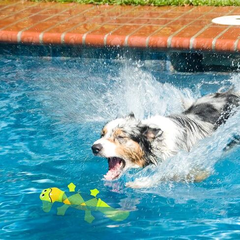 EXPAWLORER Dog Floating Toys Squeaky Toys - 2 Packs Dog Water Toys for Pool, Durable Oxford Fabric Dog Chew Toy Summer Outdoor Interactive Play, for Small Medium Dogs in Saudi Arabia