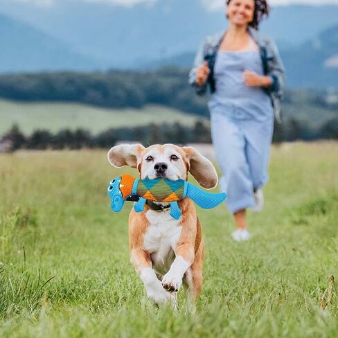 EXPAWLORER Dog Floating Toys Squeaky Toys - 2 Packs Dog Water Toys for Pool, Durable Oxford Fabric Dog Chew Toy Summer Outdoor Interactive Play, for Small Medium Dogs in Saudi Arabia