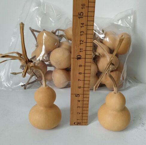 Natural Dry Gourd Bottle Gourd Cucurbit Mini Cute Dried Gourd Bottle Natural Gourd Ornament Adornment Decorative Gourd Practical Desktop Decor Original Dry Gourd DIY Crafts (10 pcs) in Saudi Arabia