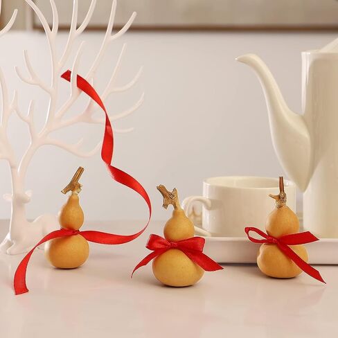 Natural Dry Gourd Bottle Gourd Cucurbit Mini Cute Dried Gourd Bottle Natural Gourd Ornament Adornment Decorative Gourd Practical Desktop Decor Original Dry Gourd DIY Crafts (10 pcs) in Saudi Arabia