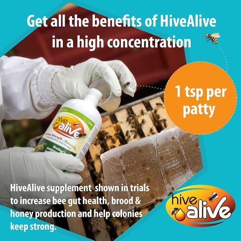 HIVE ALIVE Pollen Patty for Honey Bees – 10lb (10x1lb) Pollen Patties and Bee Food for Spring with 15% Real USA Pollen, Seaweed and Amino Acids to Support Brood and Colony Health in Kuwait