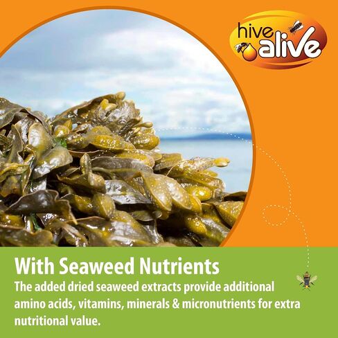 HIVE ALIVE Pollen Patty for Honey Bees – 10lb (10x1lb) Pollen Patties and Bee Food for Spring with 15% Real USA Pollen, Seaweed and Amino Acids to Support Brood and Colony Health in Kuwait
