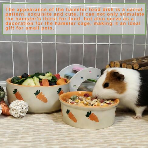 kathson 2 Pcs Hamtser Food Bowl,Ceramic Anti-Turning Guinea Pig Food Bowls in Kuwait
