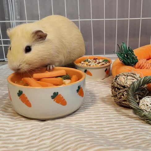 kathson 2 Pcs Hamtser Food Bowl,Ceramic Anti-Turning Guinea Pig Food Bowls in Kuwait