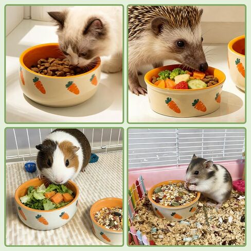 kathson 2 Pcs Hamtser Food Bowl,Ceramic Anti-Turning Guinea Pig Food Bowls in Kuwait