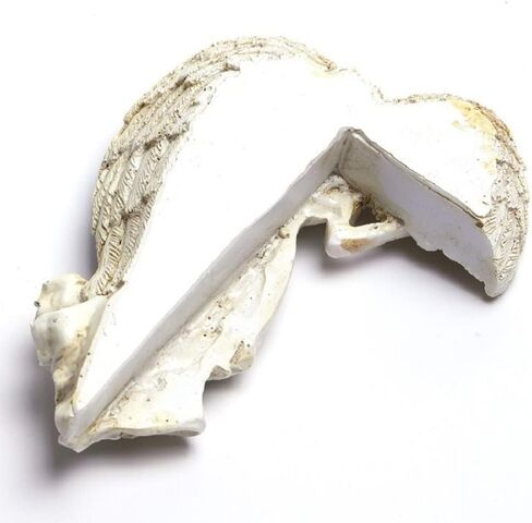 YFEIQI Angel Wings Resin Sculpture Photo Frame, Angel Frame Decoration, Creative 3D Resin Art Crafts for Home Wall Decoration, Gifts for Festival, Wedding or Anniversary (Left+Right) in Saudi Arabia