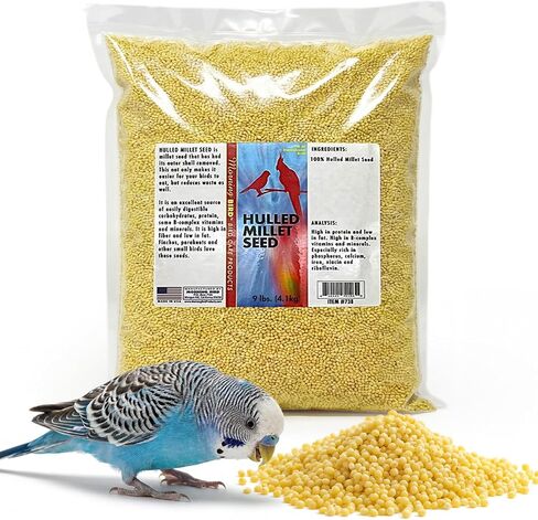 Morning Bird Hulled Millet 1.5 lbs – Nutritious Hulled Millet Seed - Waste Free - No Mess - Easily Digestible with High Fiber, Rich in Vitamins & Minerals for Birds, Ideal Bird Feed for All Bird Types in Kuwait