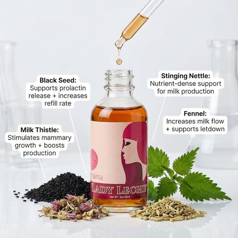 Milky Mama Lady Leche Lactation Supplement Drops – Herbal Lactation Support for Breastfeeding Moms – Fenugreek-Free Lactation Supplement – Liquid Drops – 2 oz Bottle in Kuwait