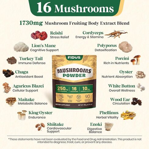 Fidus 16 Mushroom Supplement Powder with 1,730mg per Serving, 90 Day Servings Mushroom Coffee Alternative for Immunity, Focus & Energy with Ashwagandha, Lion's Mane, Reishi, 100% Fruiting Bodies in Saudi Arabia