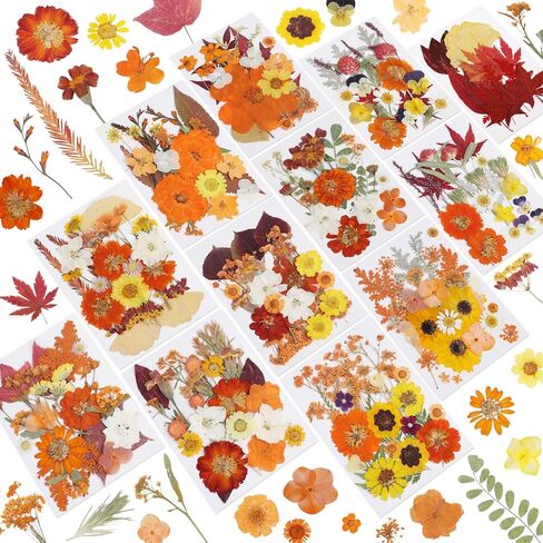 NESCCI Dried Pressed Flowers for Resin, 103pcs Real Nature Dried Flowers for Crafts Bulk Dry Flowers Leaves Kit Used for Resin Molds Scrapbooking DIY Art Crafts Candle Soap Making Nails Décor in Saudi Arabia