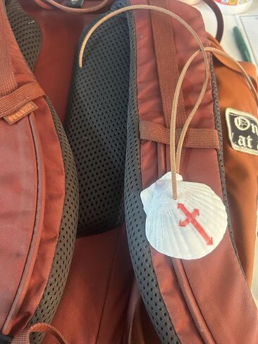 Small Size 1-2 inches. Set of 2. Handcrafted Pilgrim Shell Pendant with St James Cross, Natural Scallop Shell, Traditional Camino de Santiago Symbol, Religious Leather Cord Pendant in Kuwait