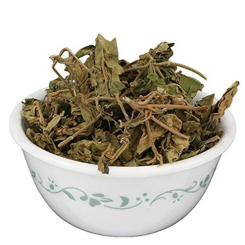 YUVIKA Gurmar Leaves - Gudmar Leaves - Gymnema Sylvestre - Periploca Of The Woods (200 Grams) in Saudi Arabia