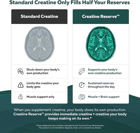 Creatine Reserve™ - Creatine Monohydrate Plus GAA for Mind, Muscle & Energy Support - Dual Pathway Delivery Creatine Supplement for Women & Men - Active B Vitamins & Taurine, Non-GMO (1 month supply) in Kuwait