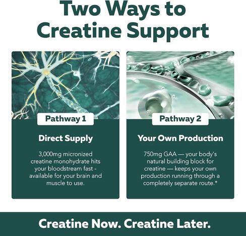 Creatine Reserve™ - Creatine Monohydrate Plus GAA for Mind, Muscle & Energy Support - Dual Pathway Delivery Creatine Supplement for Women & Men - Active B Vitamins & Taurine, Non-GMO (1 month supply) in Kuwait