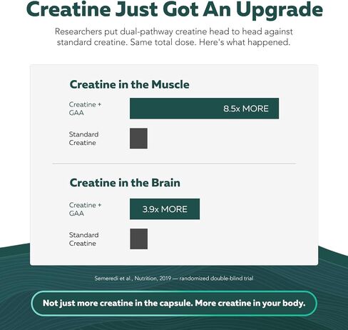 Creatine Reserve™ - Creatine Monohydrate Plus GAA for Mind, Muscle & Energy Support - Dual Pathway Delivery Creatine Supplement for Women & Men - Active B Vitamins & Taurine, Non-GMO (1 month supply) in Kuwait