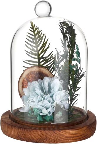 BENECREAT 5.6x7.3 Inch Glass Dome Cloche with Wooden Base, Everlasting Flower Glass Cover with Round Top Handle for Specimens Plants, Fairy Lights and Table Decor (Saddle Brown) in Kuwait