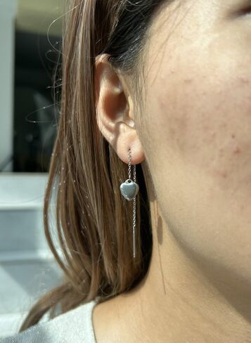 WangGao Stainless Steel Heart Dangle Long Chain Threader Earrings for Women Drop Earrings Ear Jewelry Gift for Her in Saudi Arabia